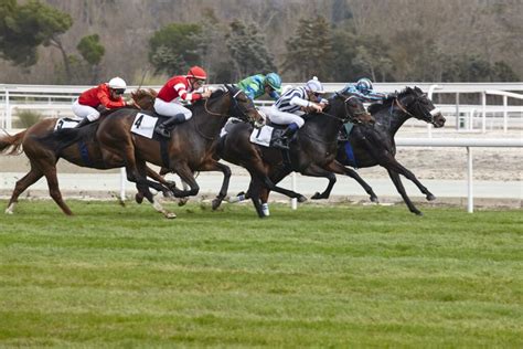 Exacta, Trifecta, Superfecta: Exotic Bets Explained .